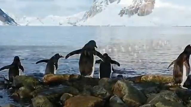 Perito Moreno Glacier ,Patagonia, Argentina by primalejana84 смотреть онлайн