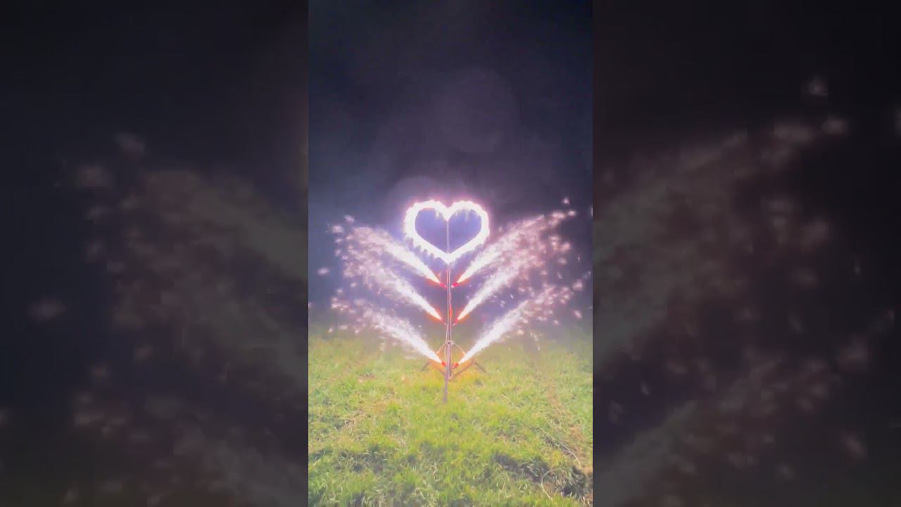 Дерево любви #short #shorts #fireworks #megapir смотреть онлайн