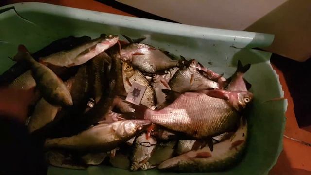 Улов 2 июля 2018 смотреть онлайн