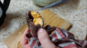 морской ёж как есть