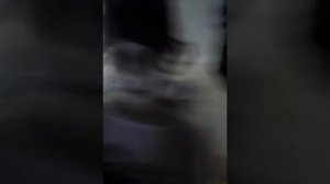 Стих о Веронике