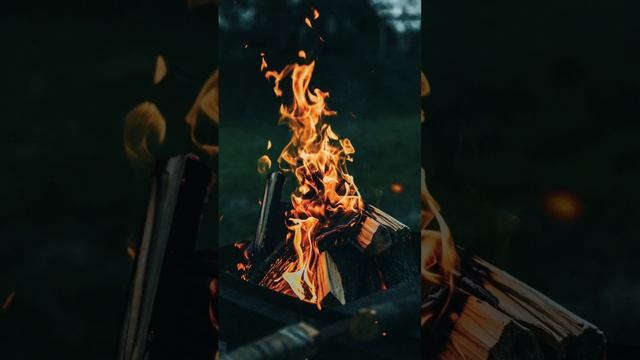 Карельская сосна Кело, #shorts смотреть онлайн