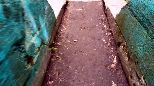 Как бесплатно и с пользой съездить в Зубровник под Санкт-Петербургом. смотреть онлайн