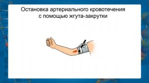 Первая помощь при кровотечениях. Видеоурок по биологии 8 класс