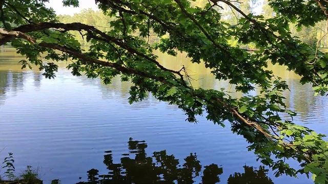 энергия!! как набрать и очистить свое поле состояеие???!!! смотреть онлайн