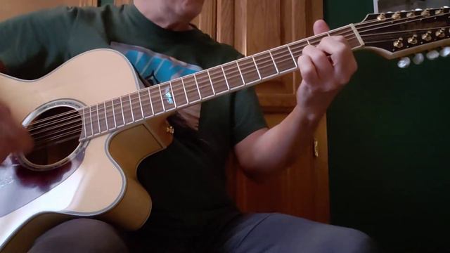 Takamine 12-String Acoustic-Electric Guitar смотреть онлайн