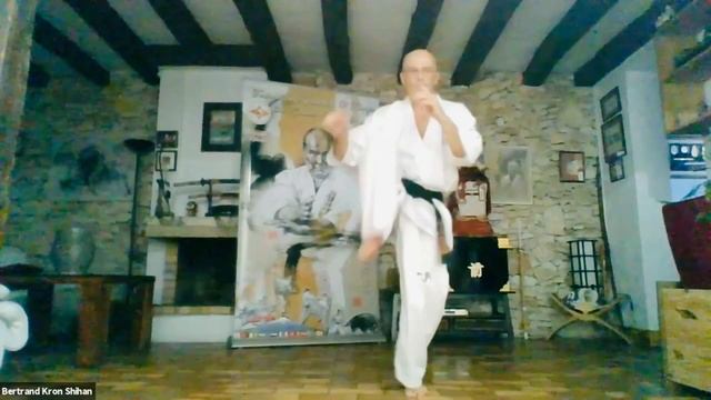 Bertrand Kron Shihan "biomécanique du Karaté" 'online Covid 2020'20 смотреть онлайн