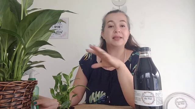 Como cultivar Lírio da Paz ☮️ смотреть онлайн