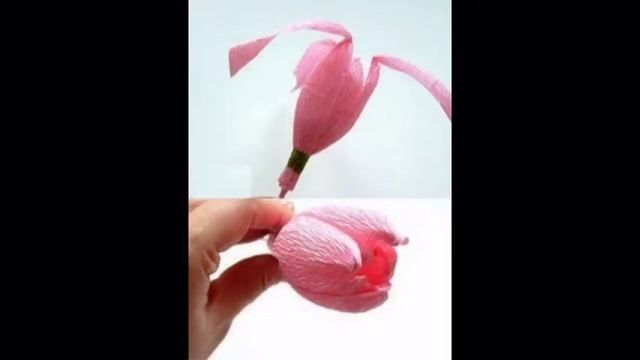 Букет тюльпанов из гофрированной бумаги и конфет на 8 марта смотреть онлайн