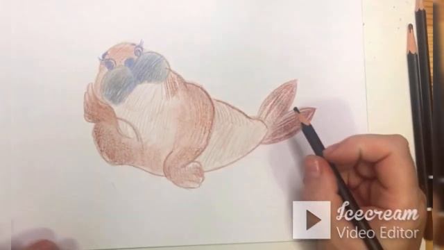 рисуем МОРЖИКА, который кашляет на льдинке :) walrus on ice смотреть онлайн