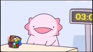 Аксолотль собирает кубик рубика Мем