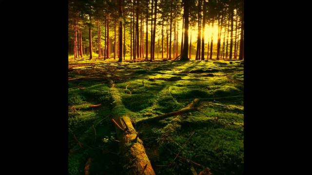 Eugène Bozza (1905-1991): JOUR D´ÉTÉ A LA MONTAGNE - 3. Le chant des forêts смотреть онлайн