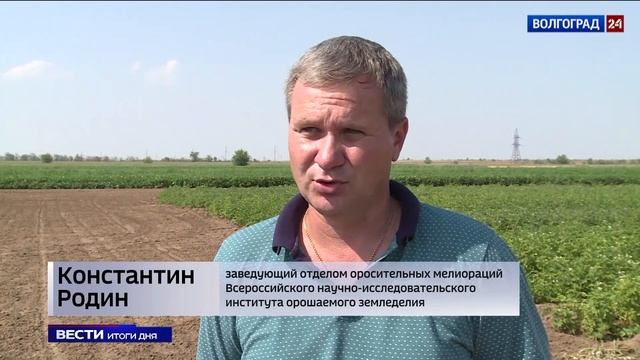 В Волгограде испытывают новые сорта картофеля смотреть онлайн