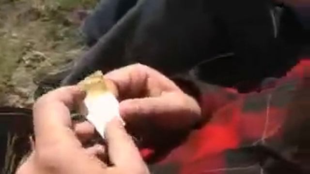 Герман Лукомников Едет в Синенькие смотреть онлайн