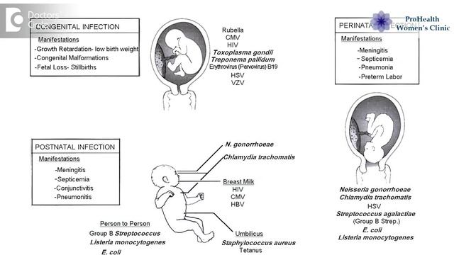 Can a pregnant mother give infection to the baby? - Dr. Daksha M Bakre смотреть онлайн
