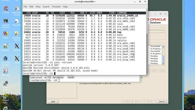 How to Install and Configure Oracle18c Database Instance On Linux 7.5. смотреть онлайн