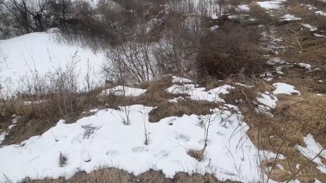 А зарплата — копейки, Чтоб ремень не давил... #Switchhhh смотреть онлайн