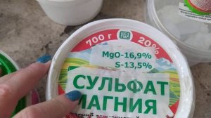 Бугенвиллии - всё об удобрениях в одном видео !!!