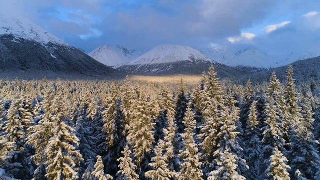 Dream Relaxing Music, Sleeping Music, Piano Music - Reminiscence смотреть онлайн