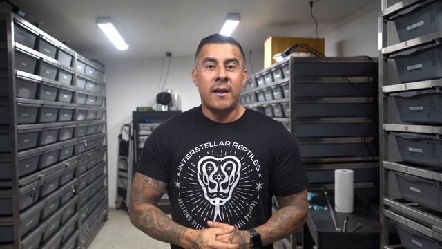 You Guys Have To See This ! 100 +