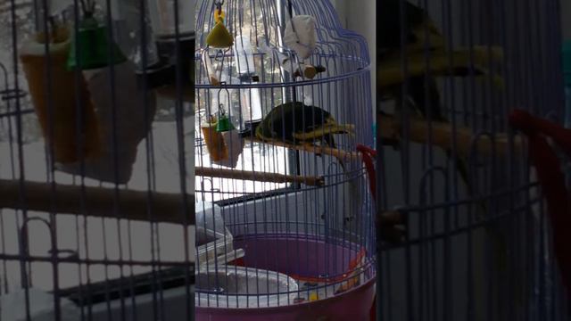 Ричи принимает ванну смотреть онлайн