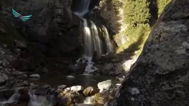 Победители проекта Президентский молодежный кадровый резерв. Зульфия Сулейменова смотреть онлайн