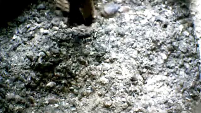 From Internet Camera(Turmfalken[03:1A:A5])2014/07/11,08:21:43_D смотреть онлайн