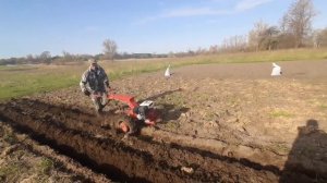 посадка картошки под плуг с первой борозды.