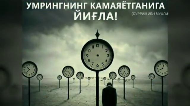 Chiroyli Nashida Sami Yusuf OLLOXU OLLOX смотреть онлайн