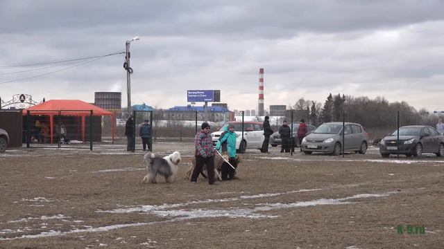 Кинологический центр "Атаман" смотреть онлайн