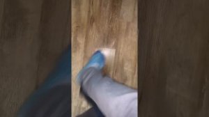 Такого я ещё никогда не видел #shorts