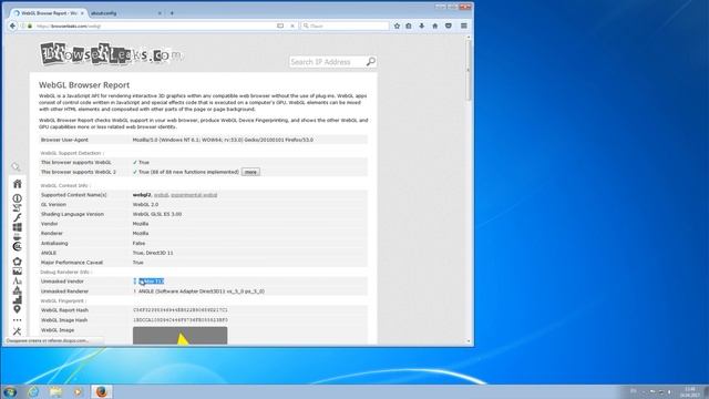 WebGL. Профессиональная подмена WebGL от VektorT13.