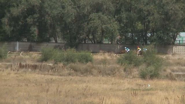 Скачка № 8 Гандикап на лошадях 3-х лет и старше чистокровной верховой породы 17 09 2020 08 смотреть онлайн