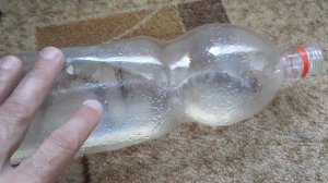 Как вывести мышей из дома