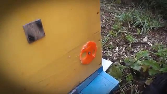 025 Зачем нужны 'карманы' смотреть онлайн