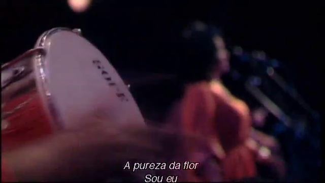 DVD Arlindo Cruz - A Pureza Da Flor смотреть онлайн