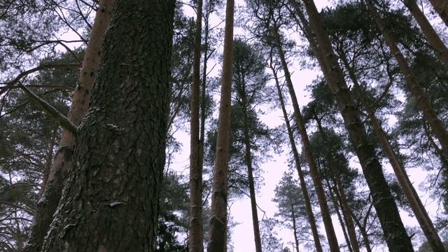 Эдуард Хиль - Потолок ледяной (мама с дочкой :))