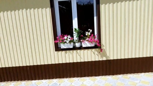 Петуния.Посадка и уход.Выращивание рассады и оформление клумб. смотреть онлайн