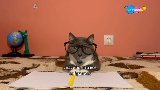 Смена Логотипа На Праздничный (Карусель Балтия Латвия Эстония Литва 8.05.2023)4:59 смотреть онлайн