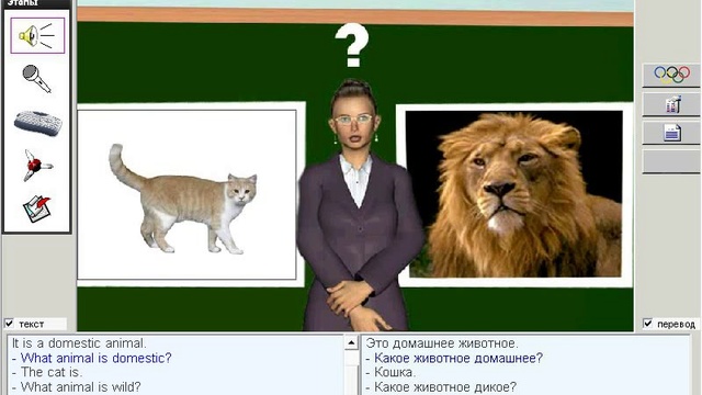 034. Практические уроки. Кошка - дикое животное смотреть онлайн