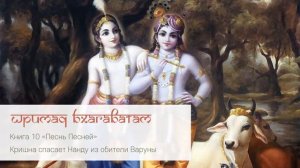 10 28 Кришна спасает Нанду из обители Варуны.Шримад Бхагаватам