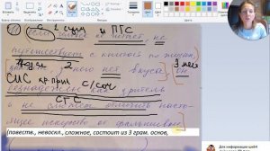 Синтаксический разбор сложноподчиненного предложения - 8 класс   Paint