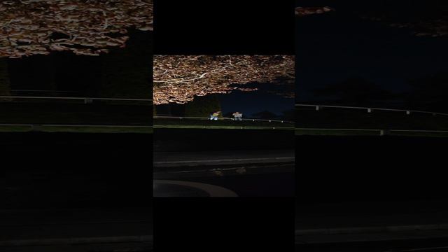 песни вечерних лягушек в парке Краснодар смотреть онлайн