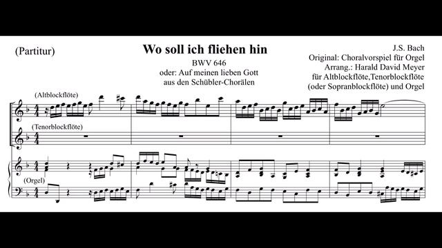 J.S. Bach: 3 Schübler-Choräle, BWV 645-647 (Bearbeitungen Für Blockflöte)