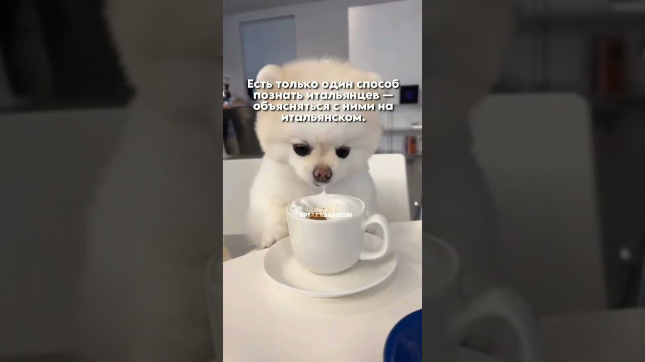 Есть только один способ познать итальянцев... смотреть онлайн