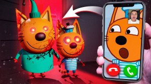 ТРИ КОТА НАПАЛИ НА НАС в 3:00!