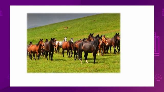 Литературное чтение. 2 класс. Составление рекламы спектакля /19.03.2021/