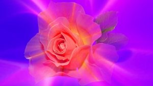 Футаж. Цветочный фон 143  Footage. Floral background 143