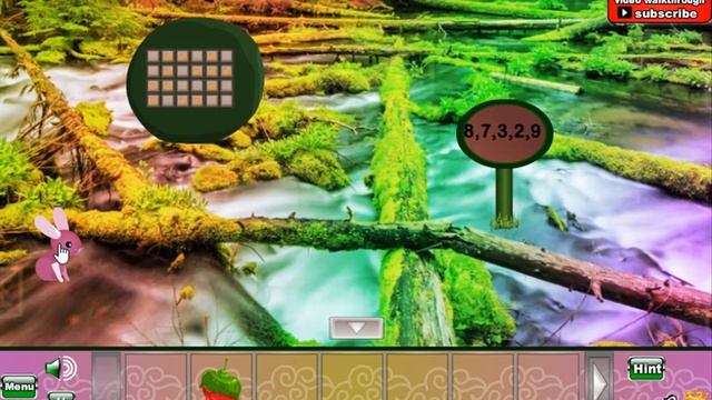 Escape Game Save The Toad - Video Walkthrough смотреть онлайн
