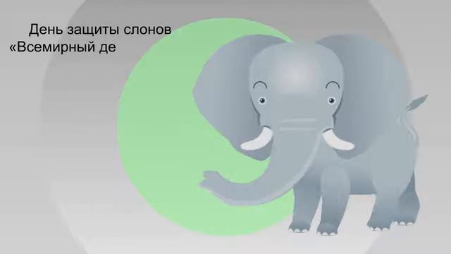 22 сентября -день защиты слонов смотреть онлайн